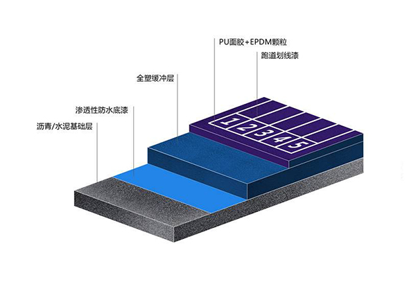 体育
