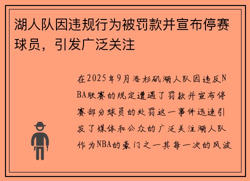 湖人队因违规行为被罚款并宣布停赛球员，引发广泛关注